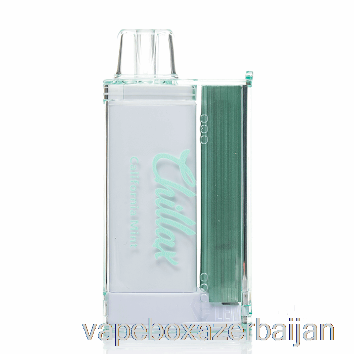 E-Juice Vape Chillax 15000 Disposable California Mint